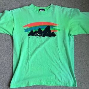 Rare, vintage, Patagonia t-shirt, made in USA, 100% cotton, single stitch